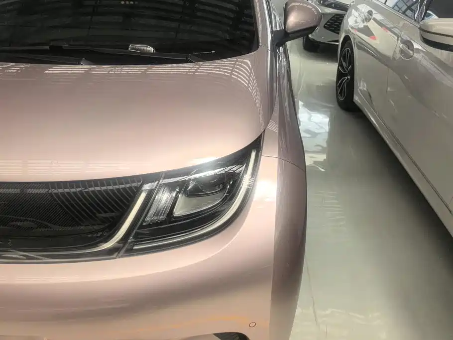 BYD Dolphin 2024