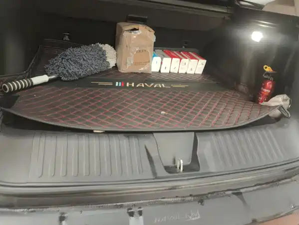 Haval Dargo 2021