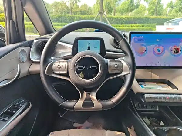 BYD Dolphin 2024