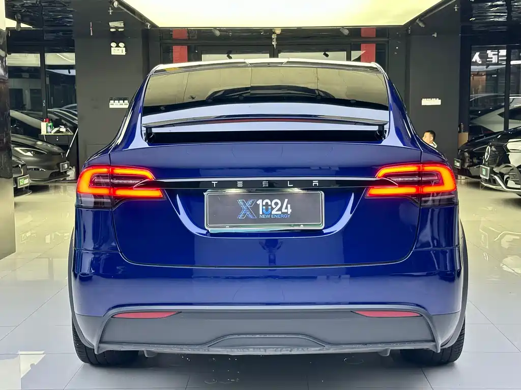 Tesla Model X 2023 — фото 5