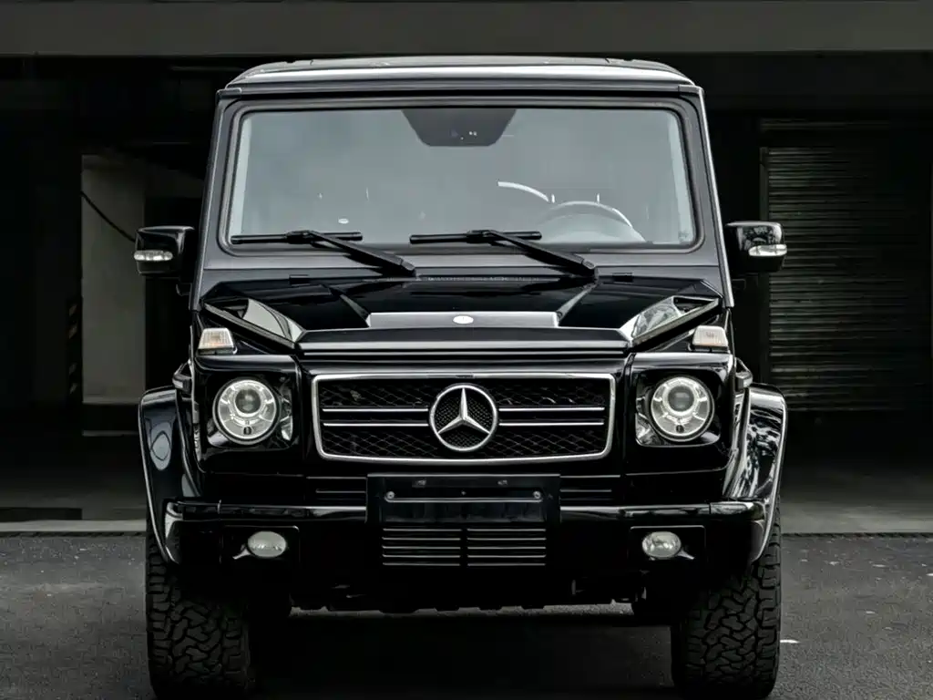 Mercedes-Benz G-Class AMG 2011 — фото 2
