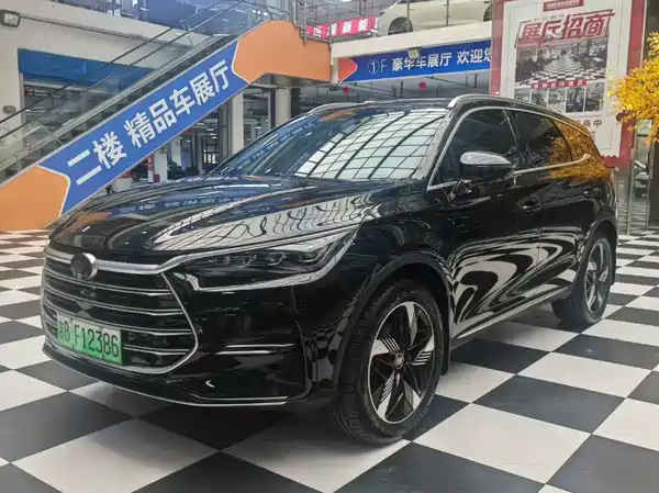 BYD Tang New Energy 2024