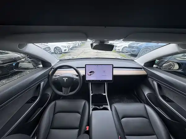 Tesla Model 3 2020