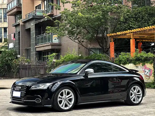 Audi TTS 2013