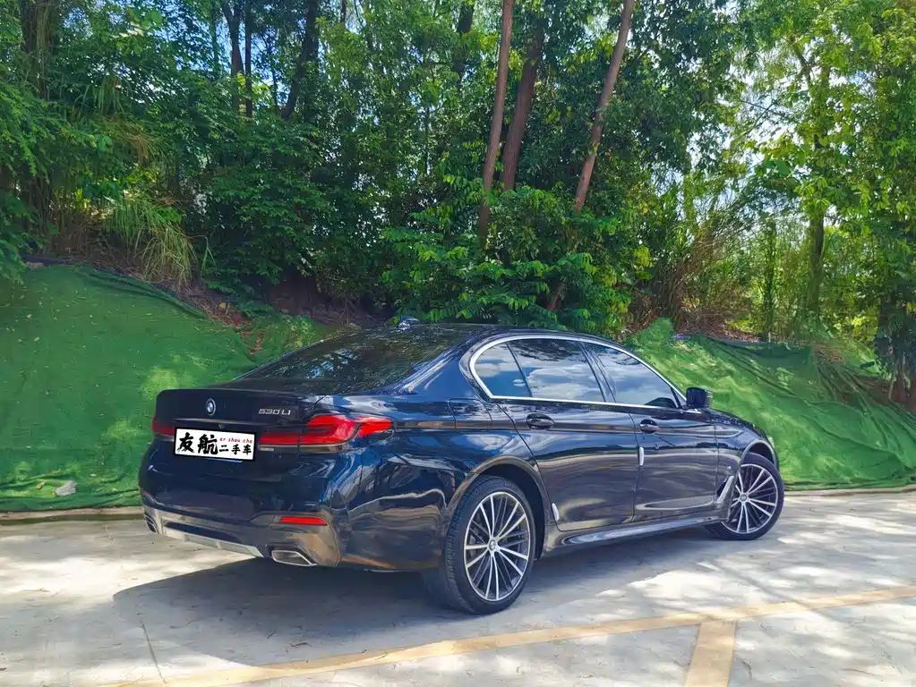 BMW 5 Series 2021