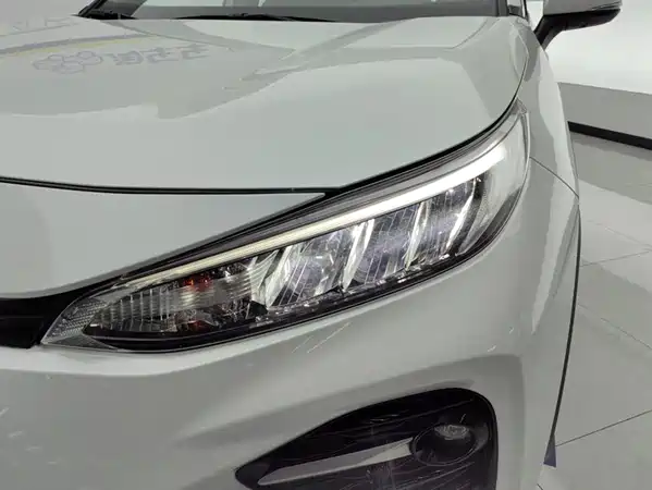 Toyota Wildlander 2021