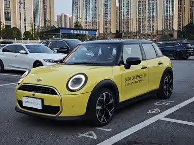 MINI MINI 2025