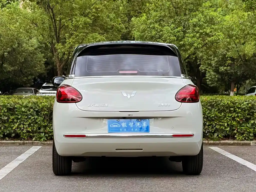 Wuling Bingo 2024