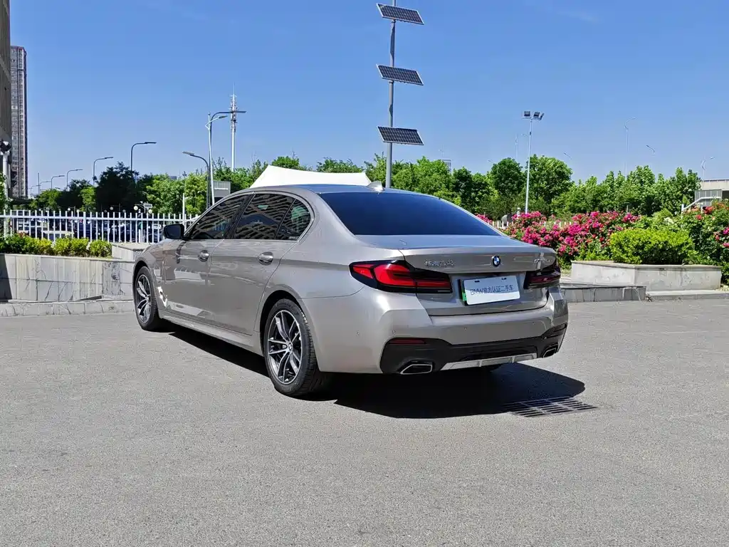 BMW 5 Series New Energy 2021