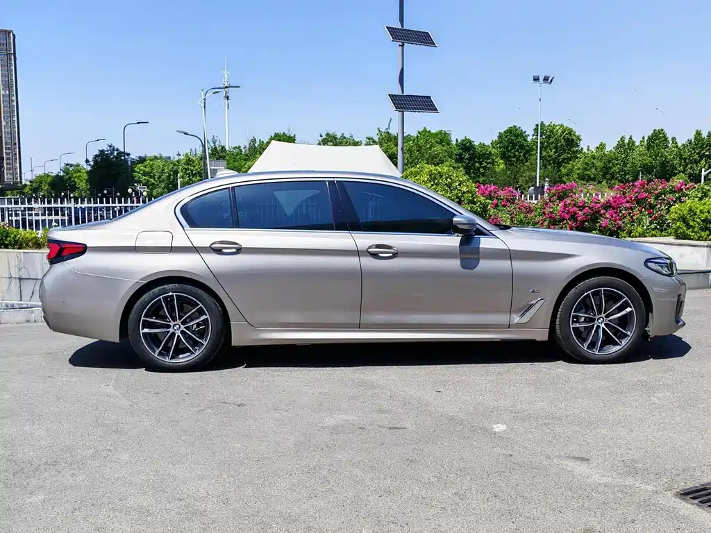 BMW 5 Series New Energy 2021