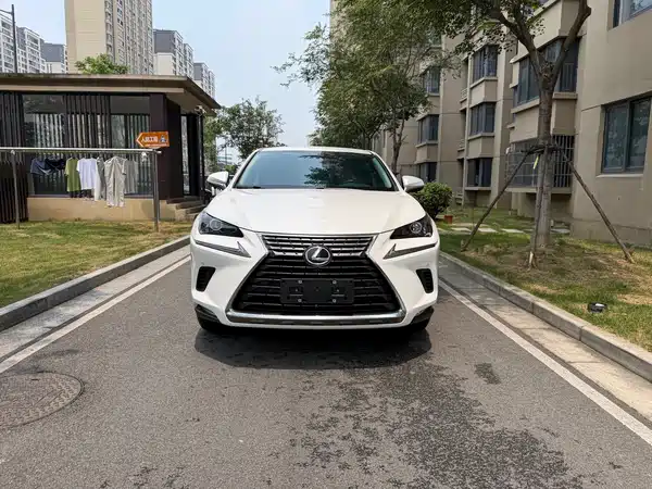 Lexus NX 2019