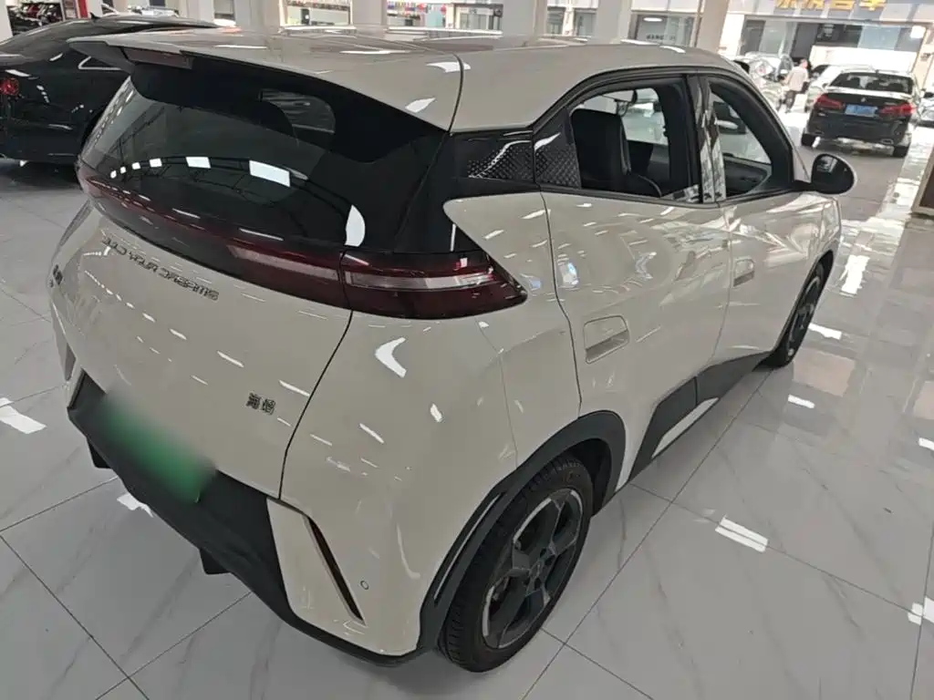 BYD Seagull 2024