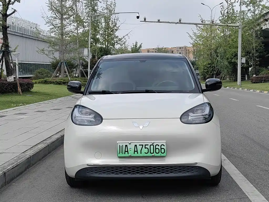 Wuling Bingo 2024