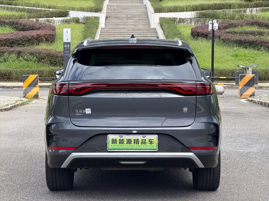 BYD Tang New Energy 2024 — фото 25