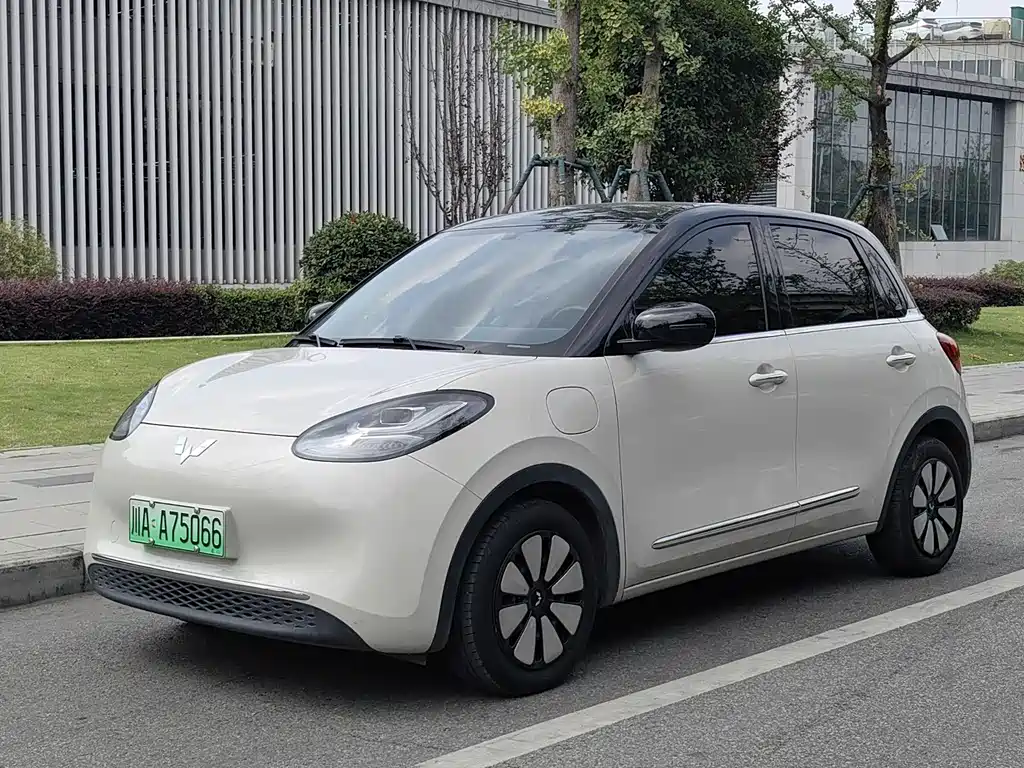 Wuling Bingo 2024
