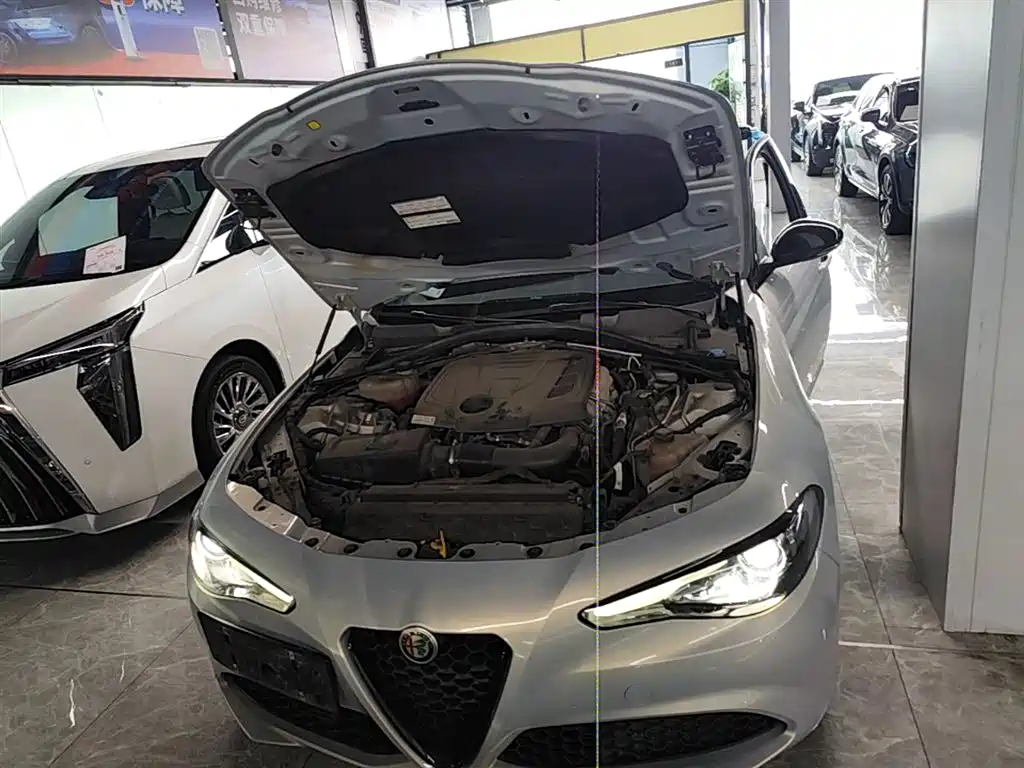 Alfa Romeo Giulia 2021 — фото 20