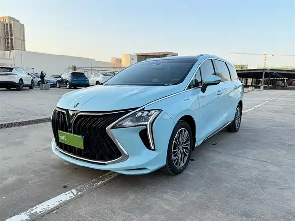 Dongfeng Popular Yacht 2022