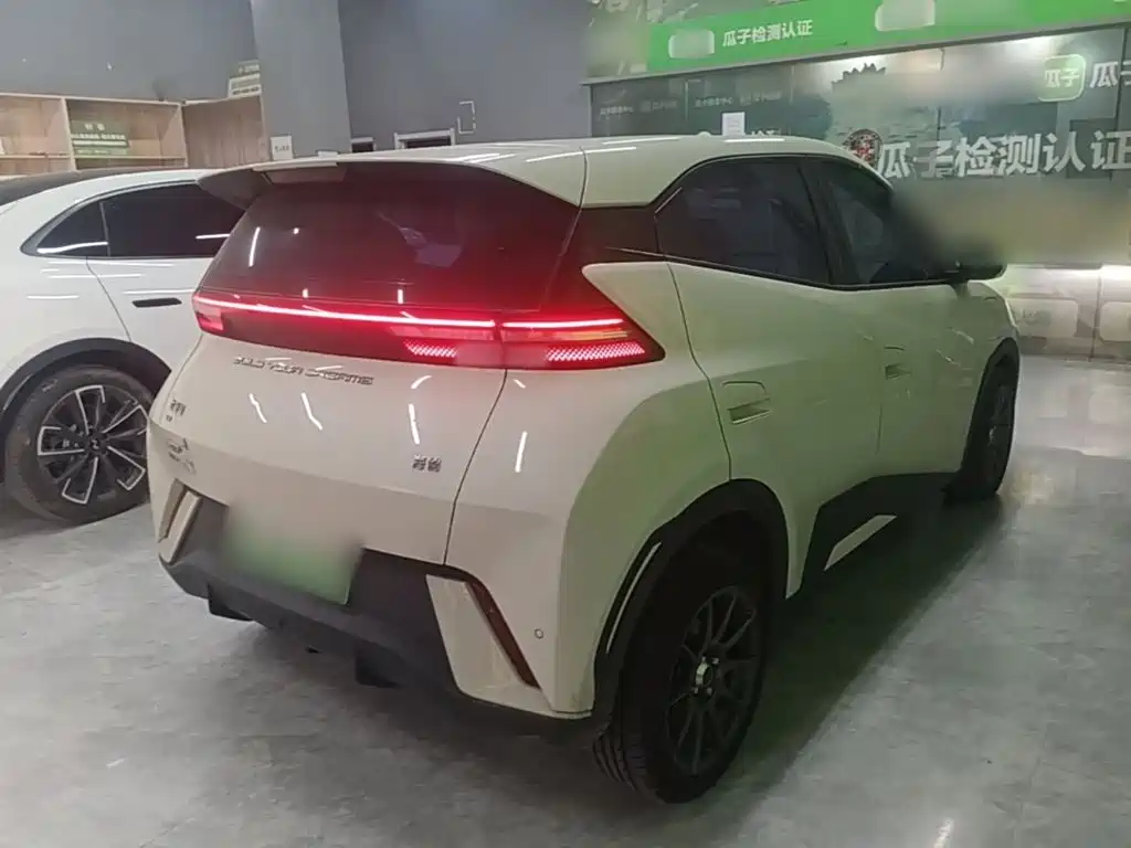 BYD Seagull 2024