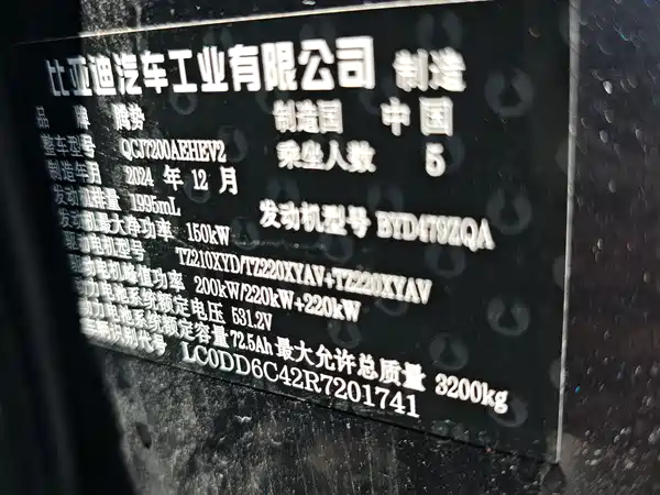 Denza Z9 2024