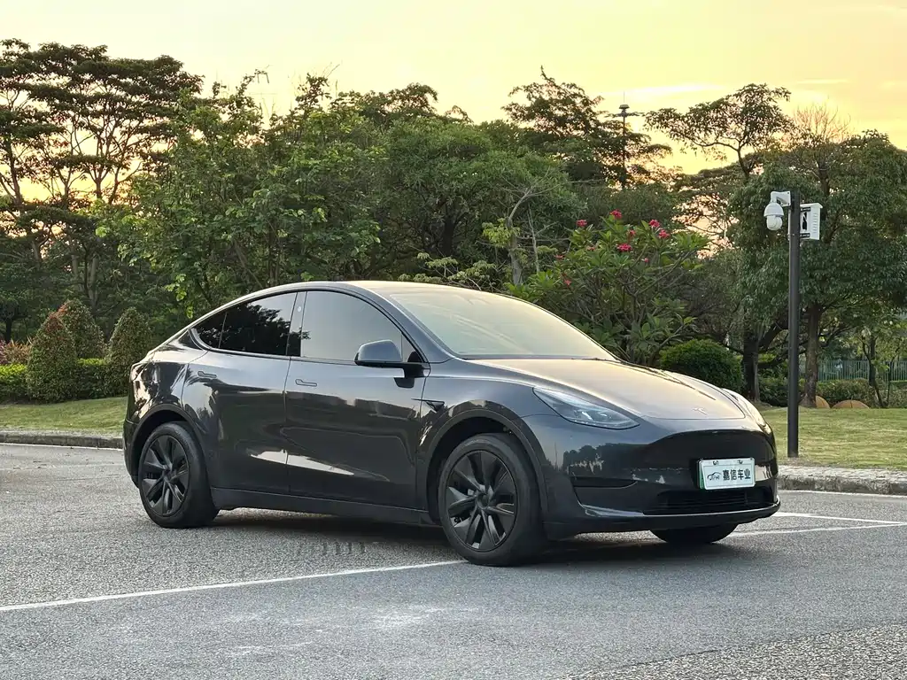 Tesla Model Y 2024 — фото 3