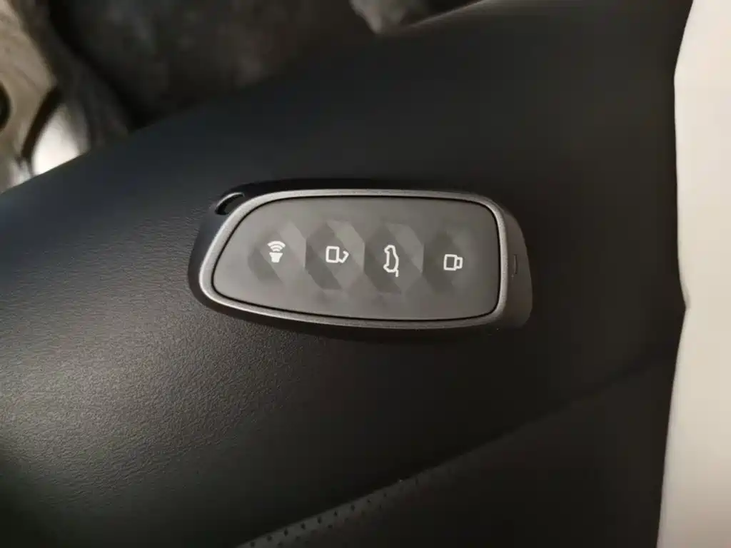 Haval Big Dog PLUS New Energy 2023 — фото 9