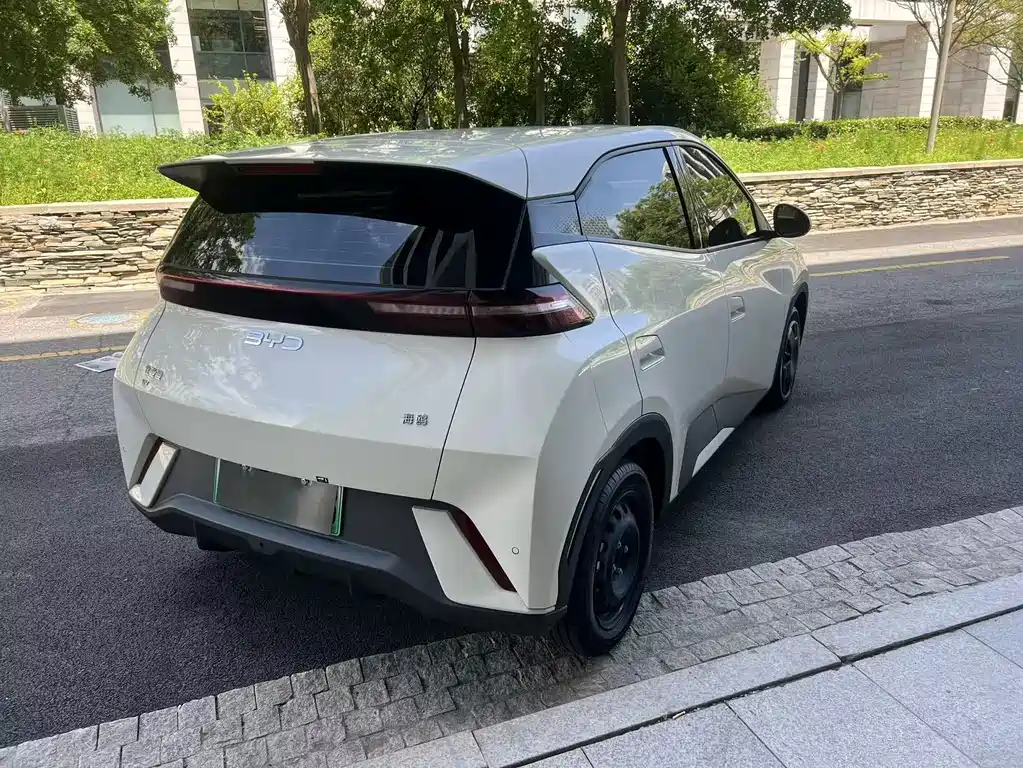 BYD Seagull 2024