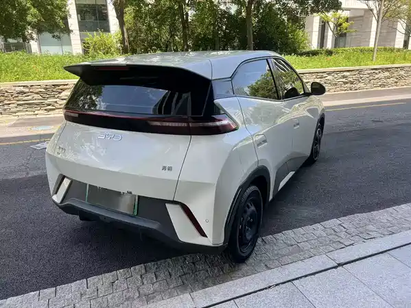 BYD Seagull 2024