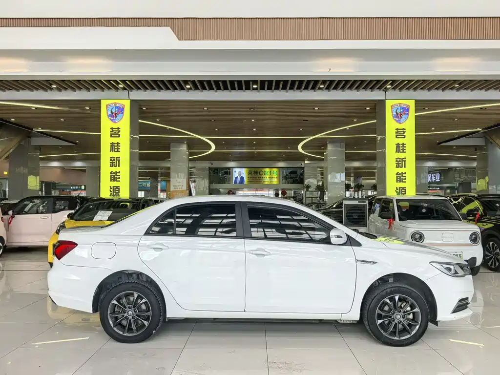 BYD Qin NEV 2021