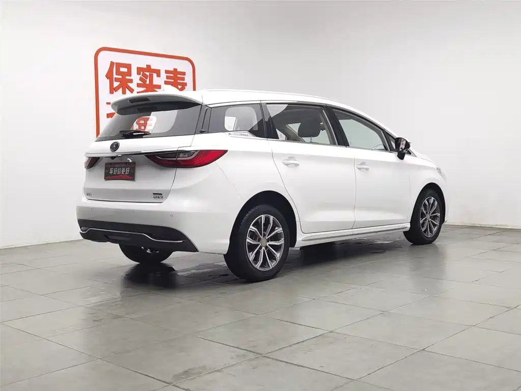 BYD MAX 2019
