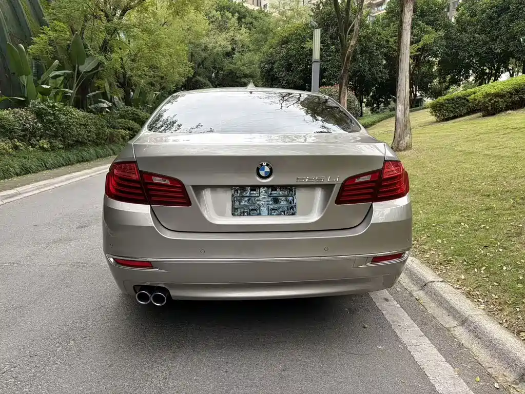 BMW 5 Series 2017 — фото 12