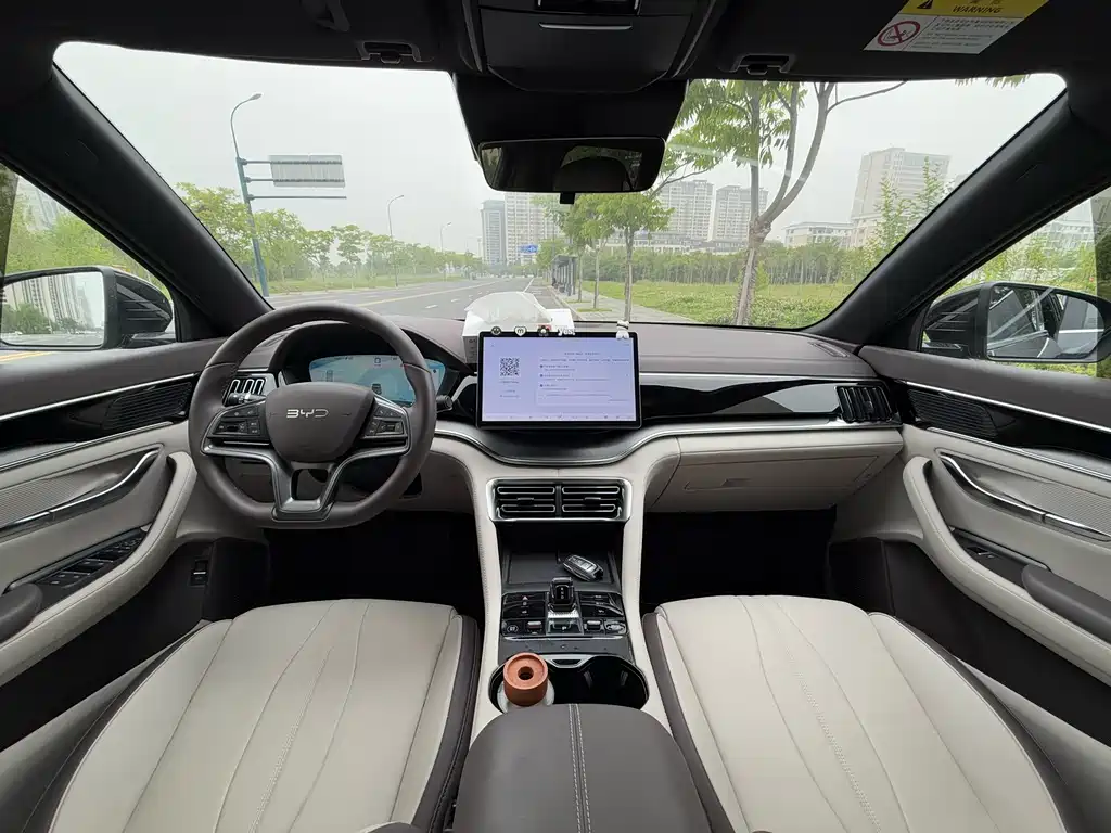 BYD PLUS New Energy 2024 — фото 12