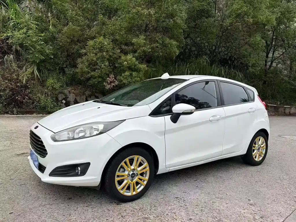 Ford Fiesta 2014 — фото 1