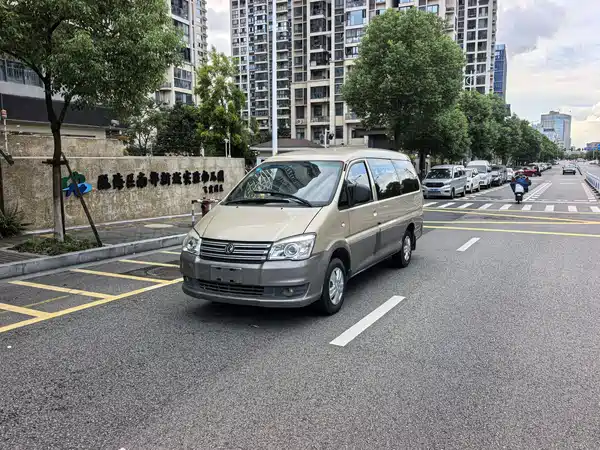 Dongfeng Lingzhi 2019