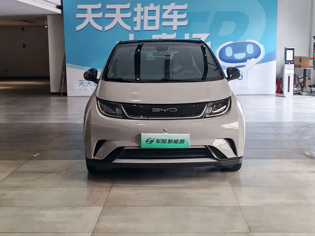 BYD Dolphin 2022
