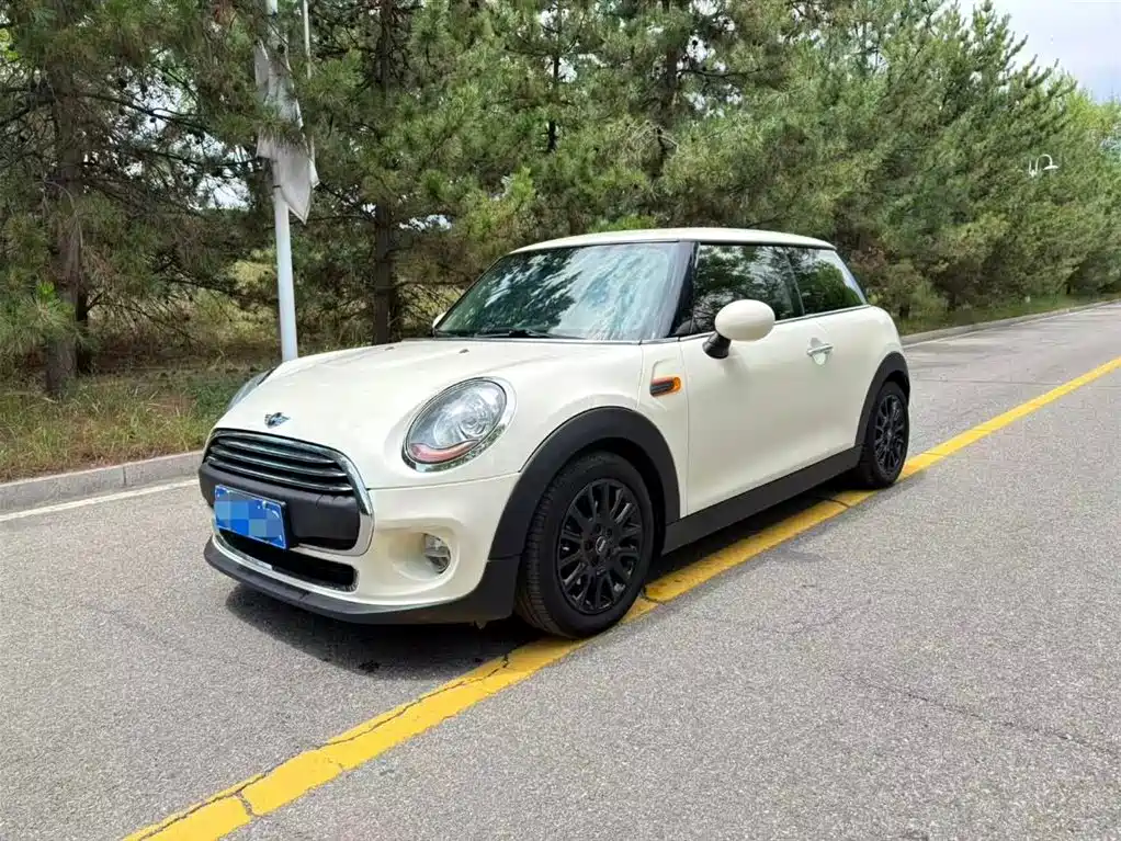 MINI MINI 2017