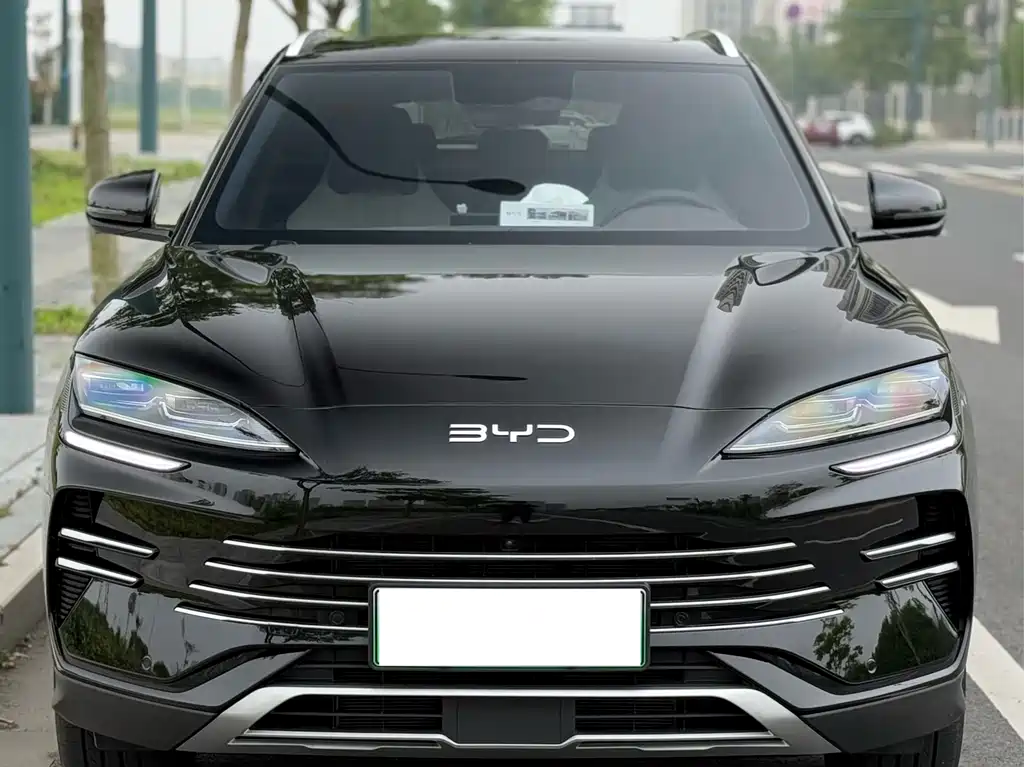 BYD PLUS New Energy 2024 — фото 2