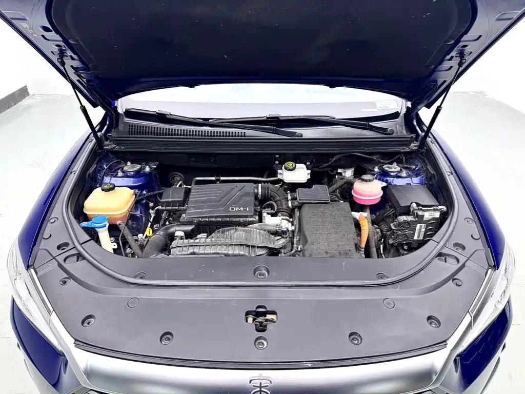 BYD Song Pro New Energy 2021 — фото 9
