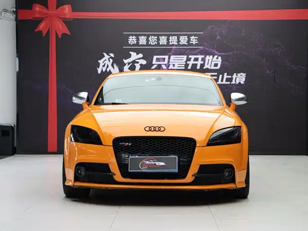 Audi TTS 2013