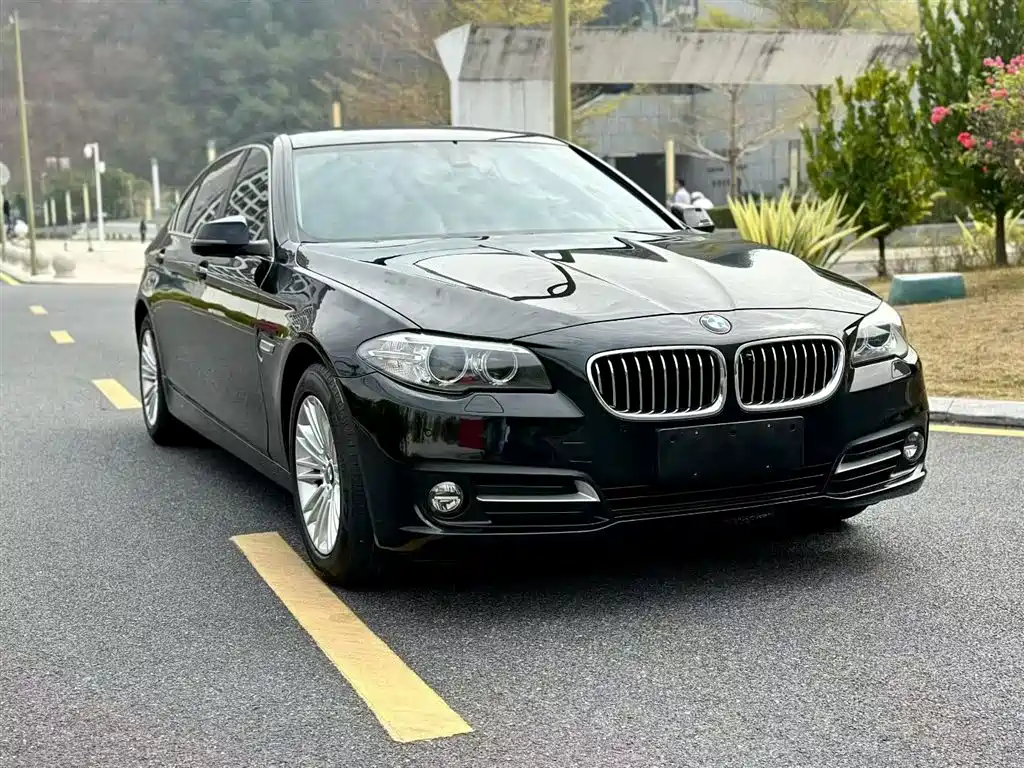 BMW 5 Series 2016 — фото 23