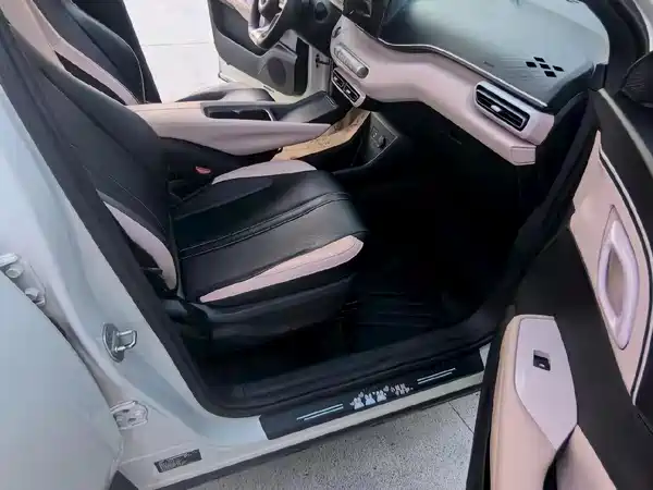 BYD Seagull 2024