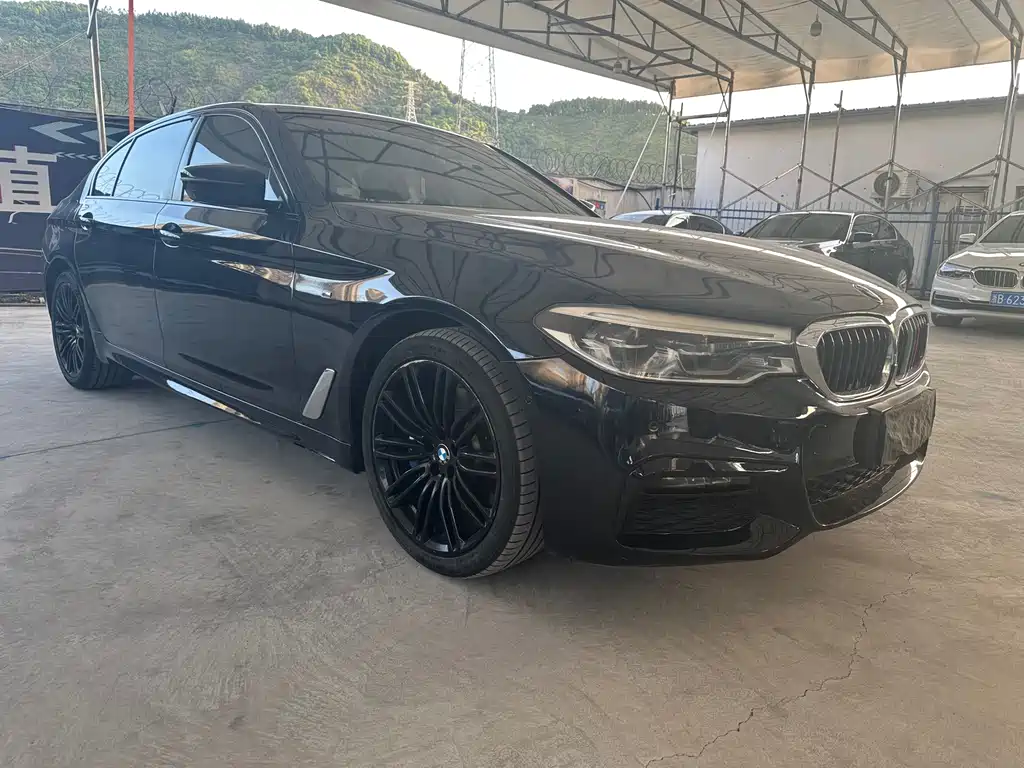 BMW 5 Series 2019 — фото 14