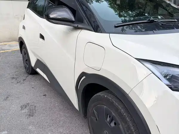 BYD Seagull 2024
