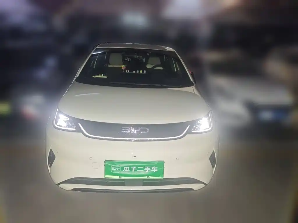 BYD Dolphin 2026