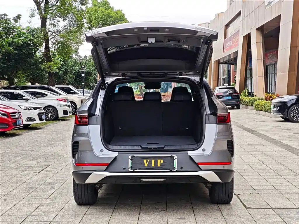 BYD PLUS New Energy 2022 — фото 11