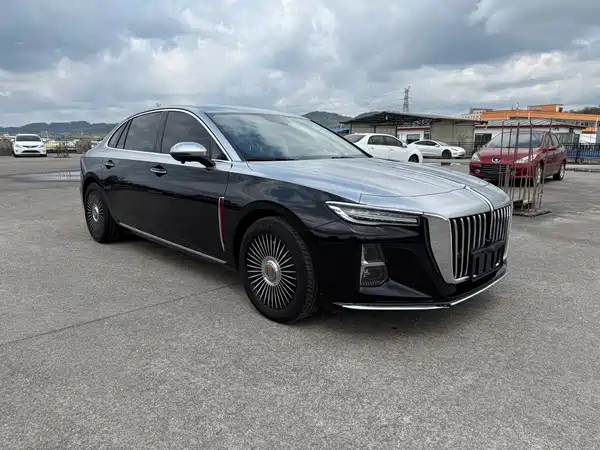 Hongqi H5 2023