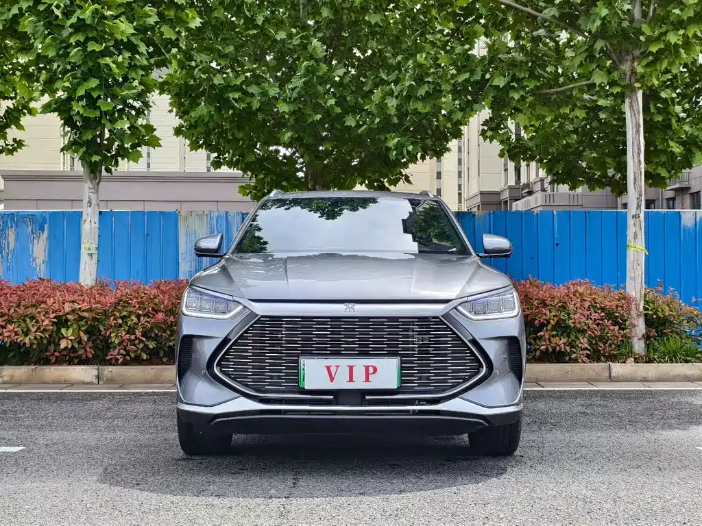 BYD PLUS New Energy 2024 — фото 2