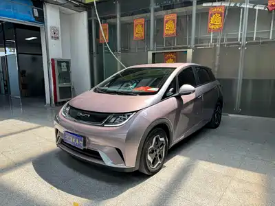 BYD Dolphin 2021