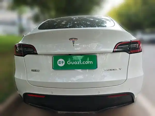 Tesla Model Y 2021