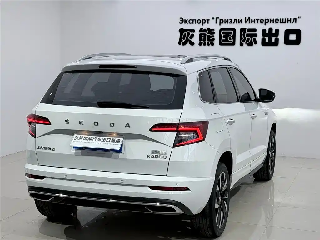 Skoda Karoq 2023 — фото 6