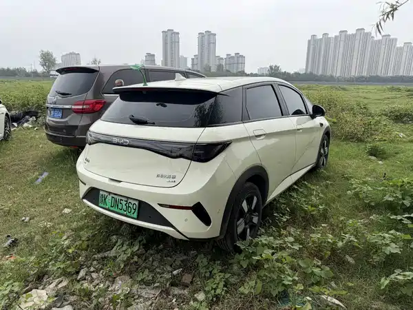 BYD Dolphin 2025